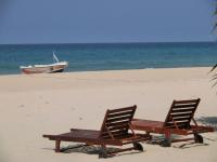 10346657_243244999210282_6535226327470386300_n