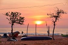 1074088_156570451211071_10487253_o