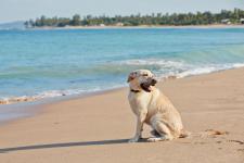 1150268_156596931208423_1270609579_n