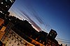 DSC09795.JPG