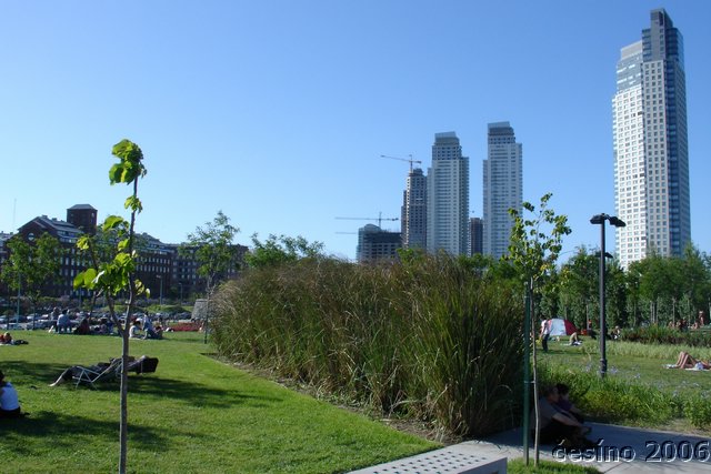 DSC09879.JPG
