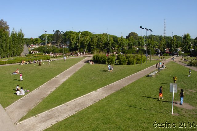 DSC09881.JPG
