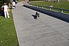 DSC09886.JPG