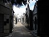 DSC01113.JPG
