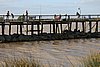 DSC01597.JPG
