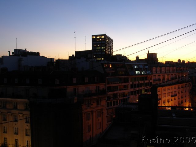 DSC02447.JPG