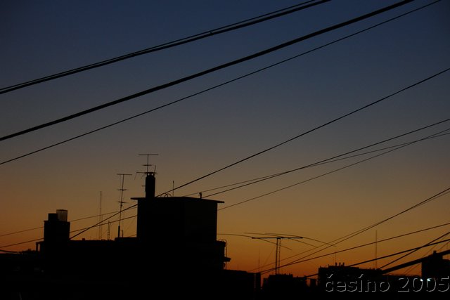 DSC02449.JPG