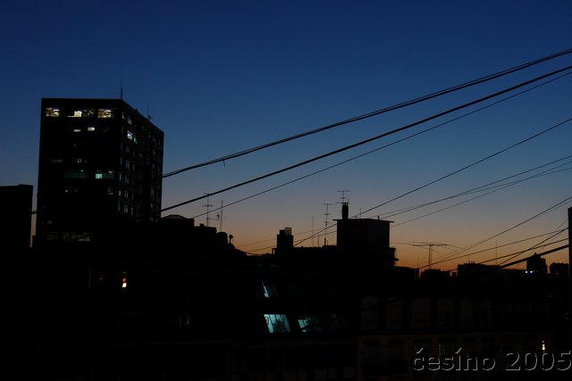 DSC02450.JPG