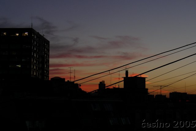 DSC02464.JPG