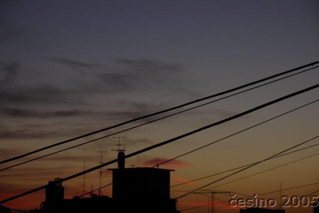 DSC02470.JPG