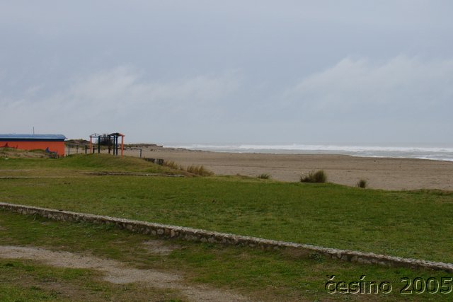 DSC04482.JPG