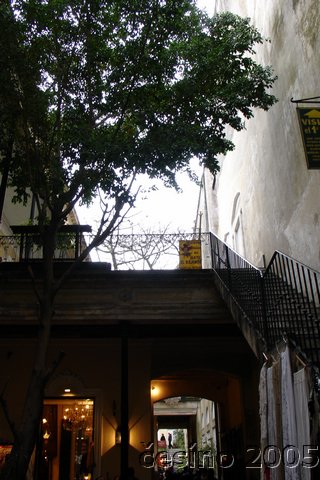 DSC04499.JPG