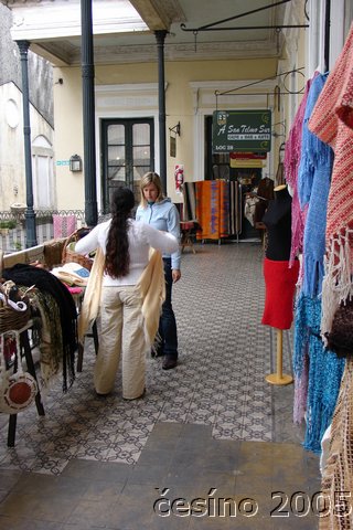DSC04517.JPG