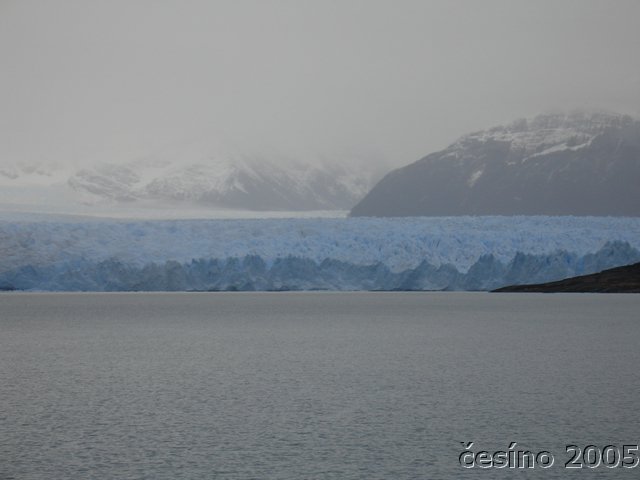 calafate_002.JPG