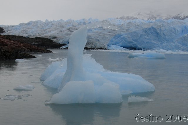 calafate_004.JPG