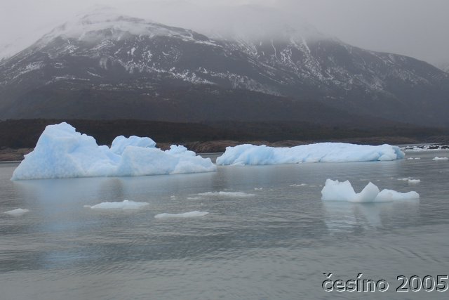 calafate_005.JPG