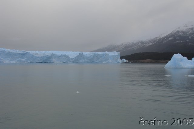 calafate_007.JPG