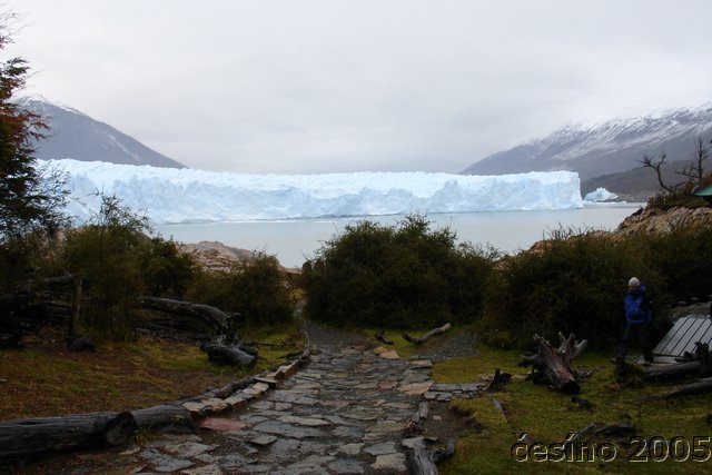 calafate_009.JPG