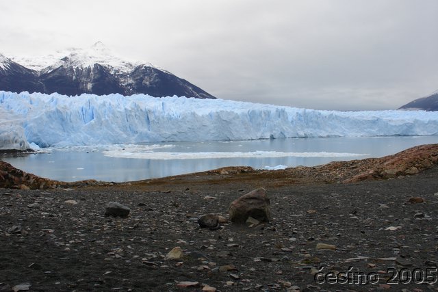 calafate_012.JPG