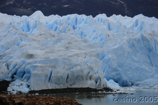 calafate_013.JPG