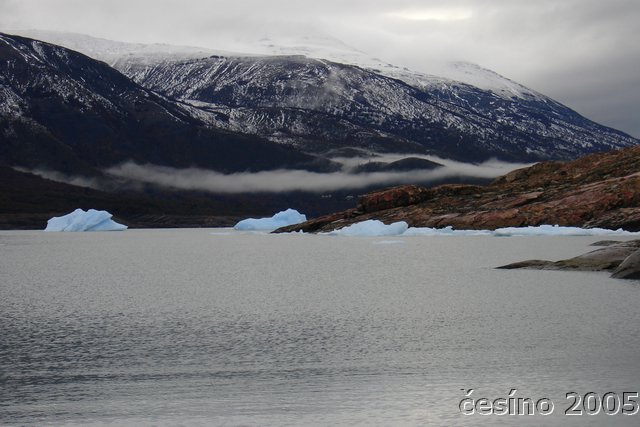 calafate_016.JPG