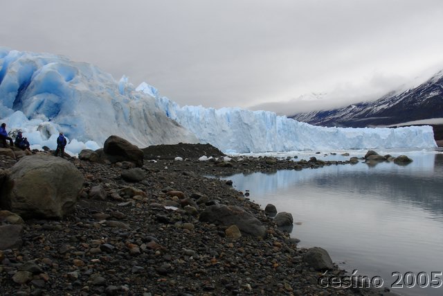 calafate_019.JPG