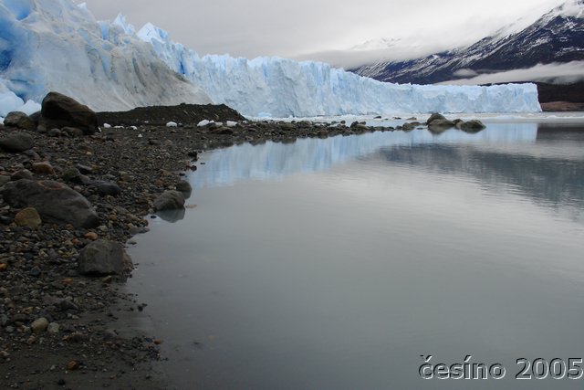 calafate_022.JPG