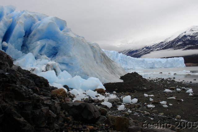 calafate_024.JPG