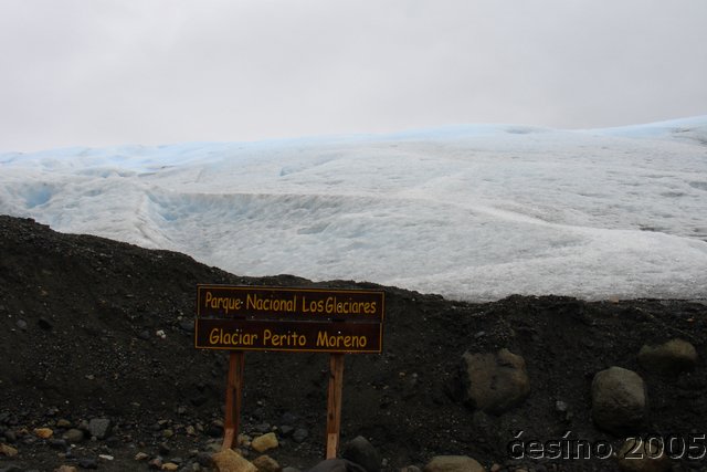 calafate_026.JPG