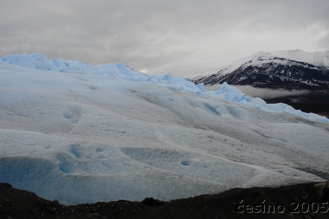 calafate_027.JPG