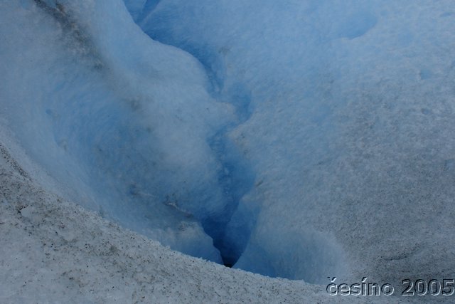 calafate_028.JPG