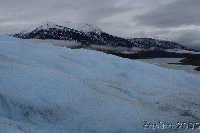 calafate_029.JPG