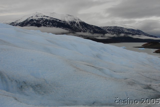 calafate_031.JPG