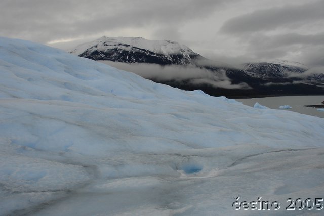 calafate_032.JPG