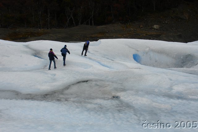 calafate_035.JPG