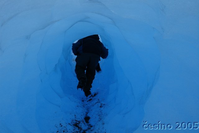 calafate_037.JPG