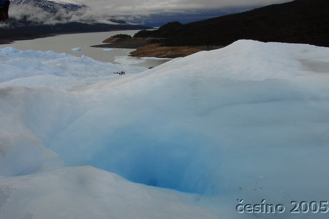 calafate_041.JPG