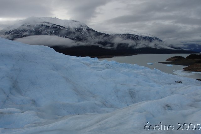 calafate_043.JPG