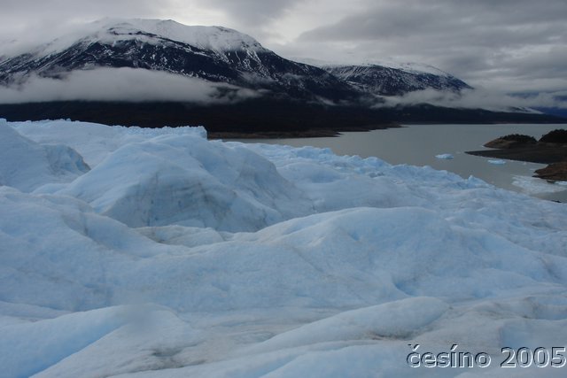 calafate_044.JPG