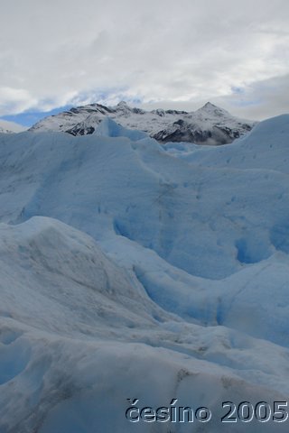 calafate_045.JPG