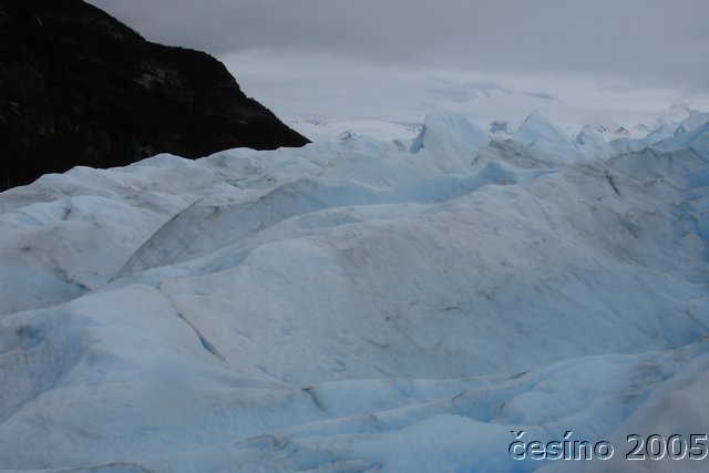 calafate_047.JPG