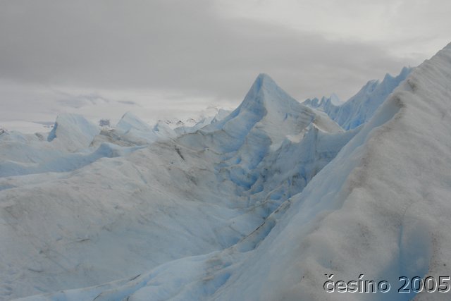 calafate_048.JPG