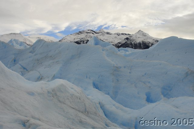 calafate_051.JPG