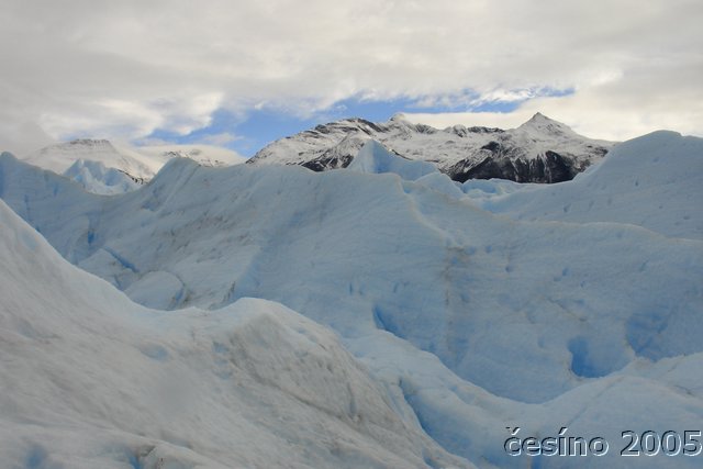 calafate_053.JPG