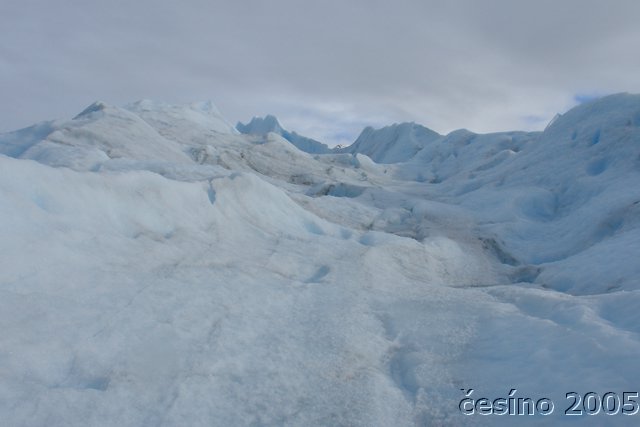 calafate_055.JPG