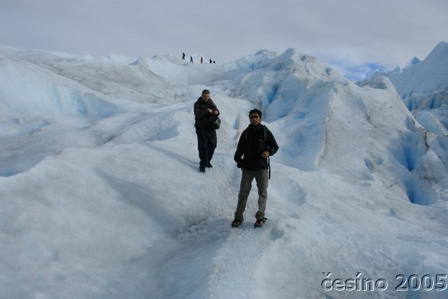 calafate_058.JPG