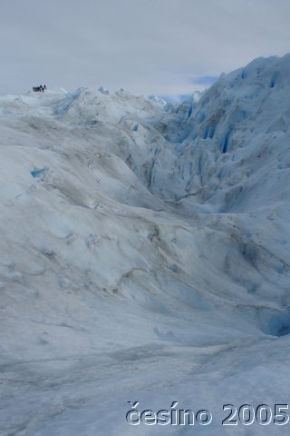 calafate_060.JPG