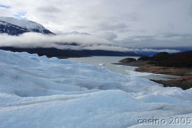 calafate_061.JPG