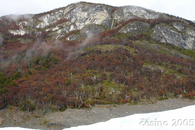 calafate_063.JPG