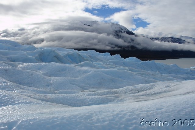 calafate_065.JPG